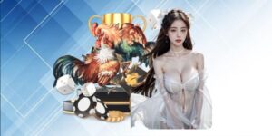 Đá gà trực tiếp bình luận viên hôm nay không chỉ đơn thuần