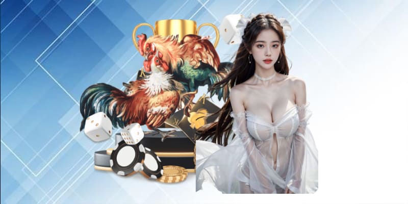 Đá gà trực tiếp bình luận viên hôm nay không chỉ đơn thuần